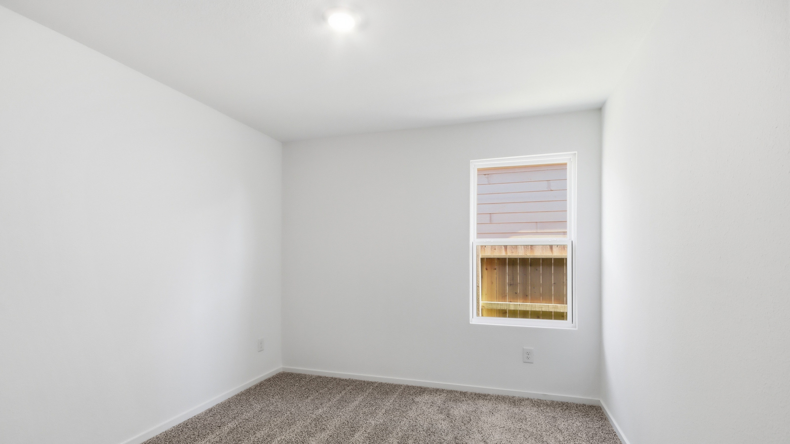 bedroom with carpet floring