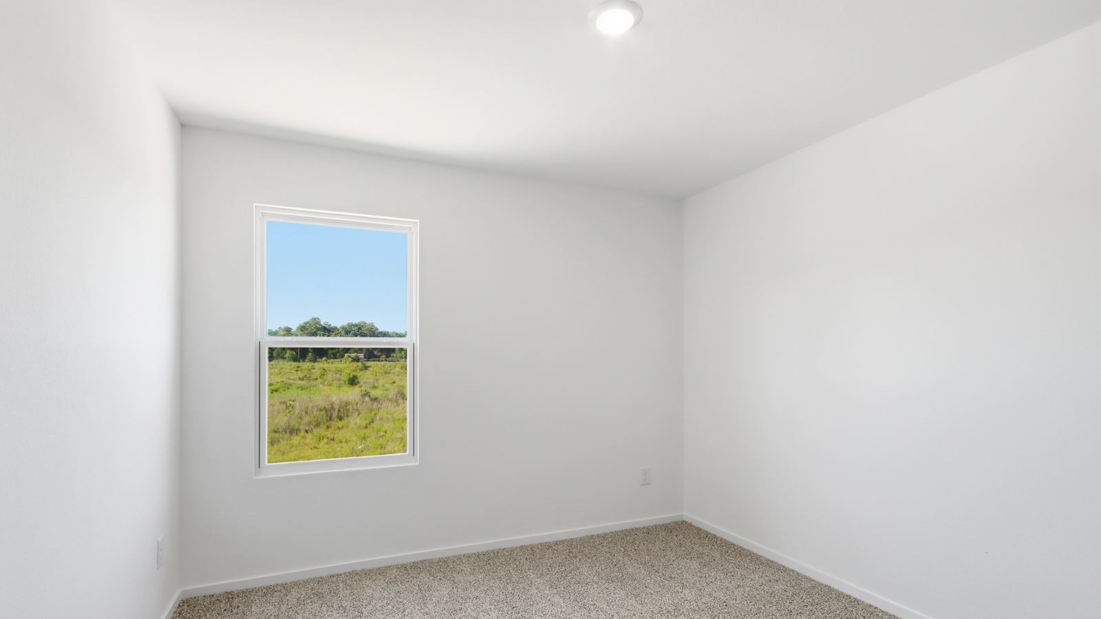 bedroom with carpet flooring