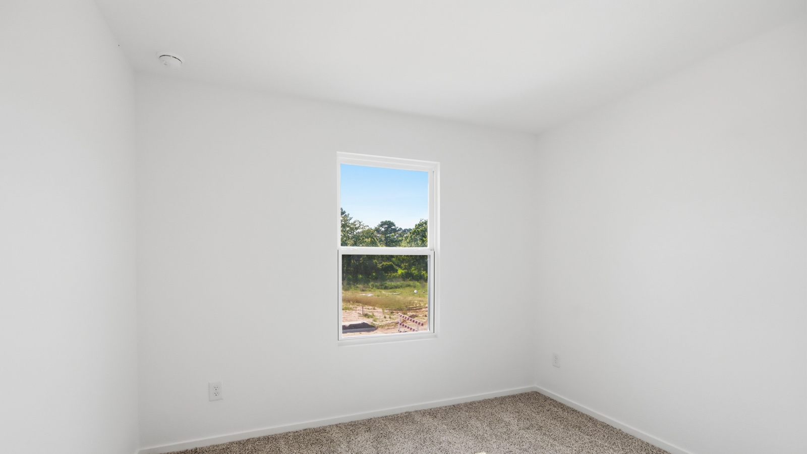 bedroom with carpet flooring