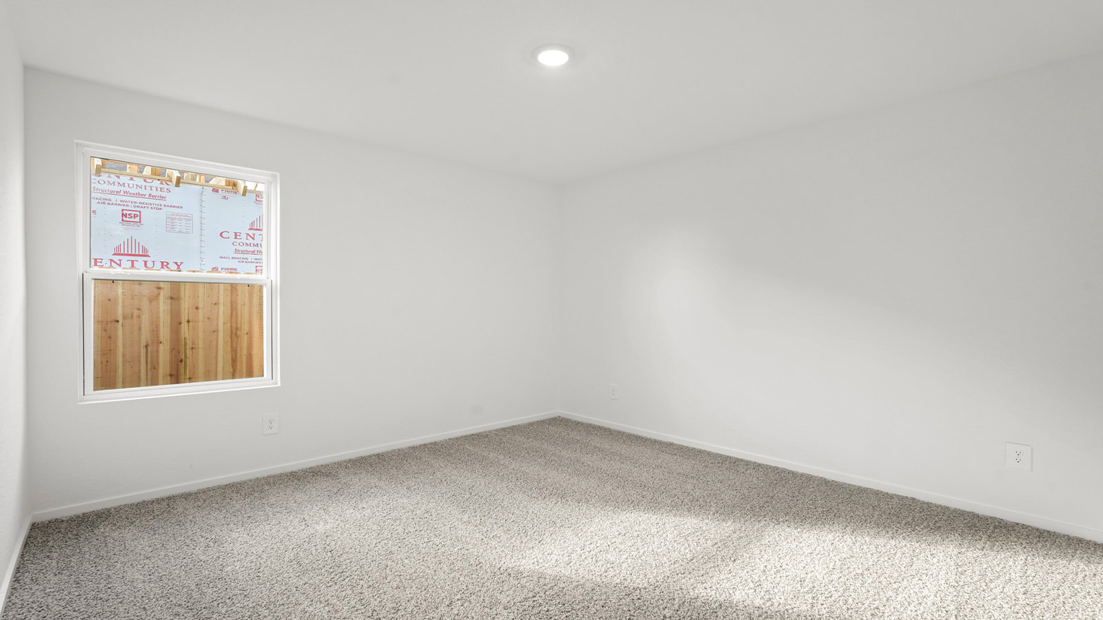 bedroom with carpet flooring
