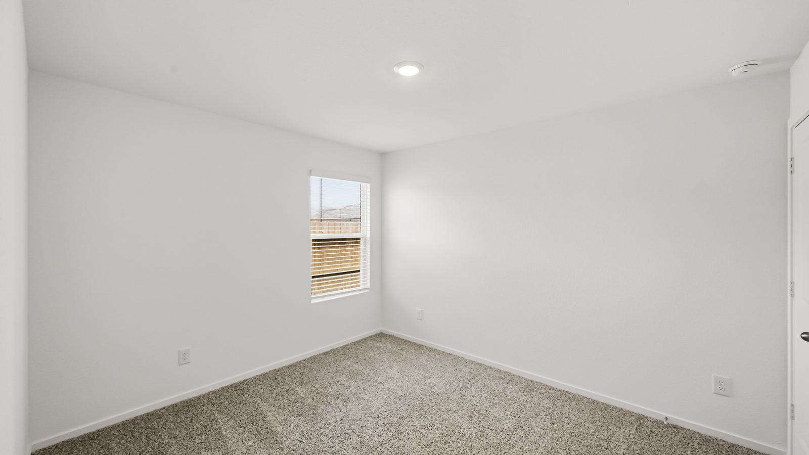 Secondary bedroom with shag carpet flooring and bright window