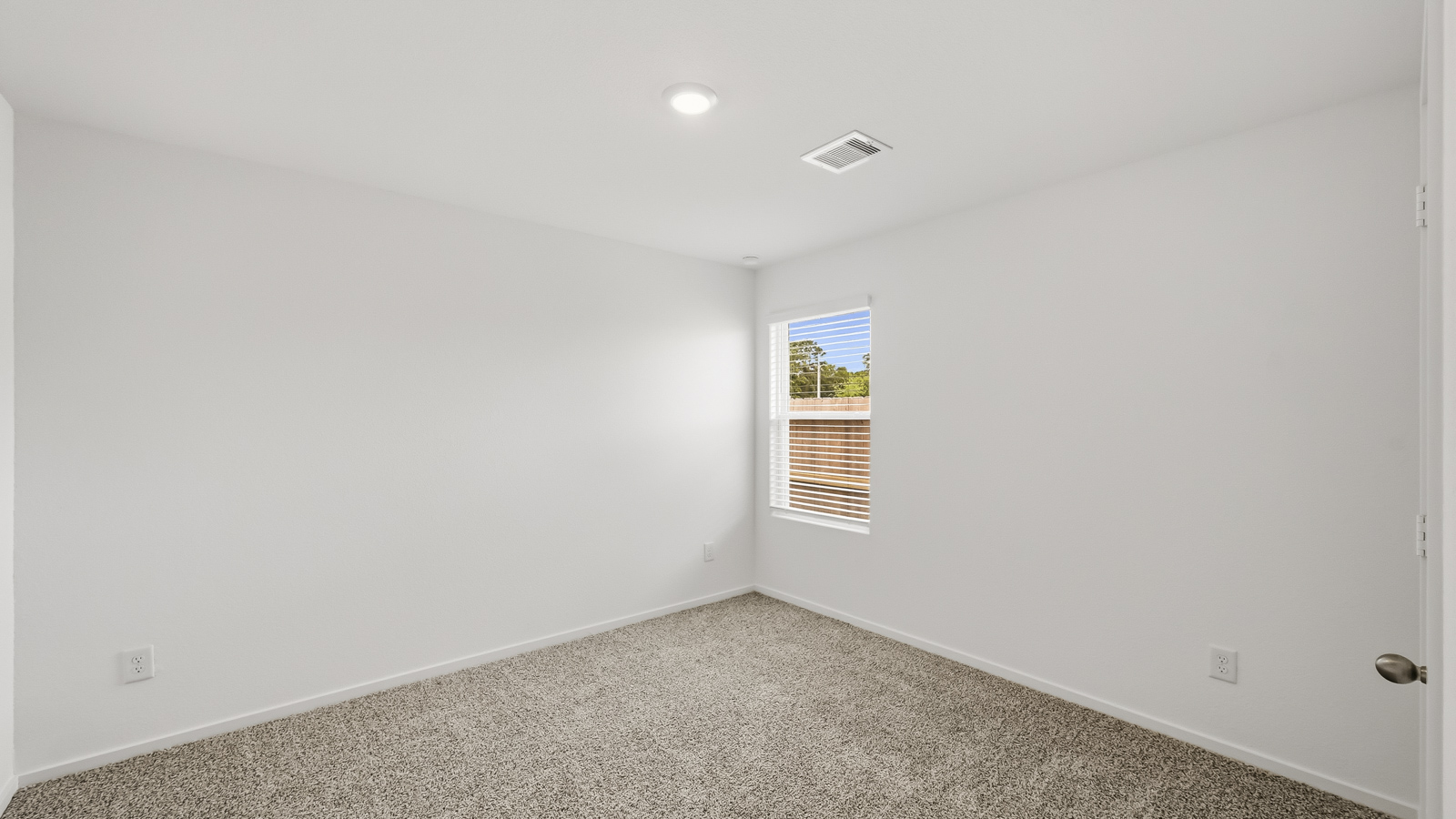 Secondary bedroom with shag carpet flooring and bright window