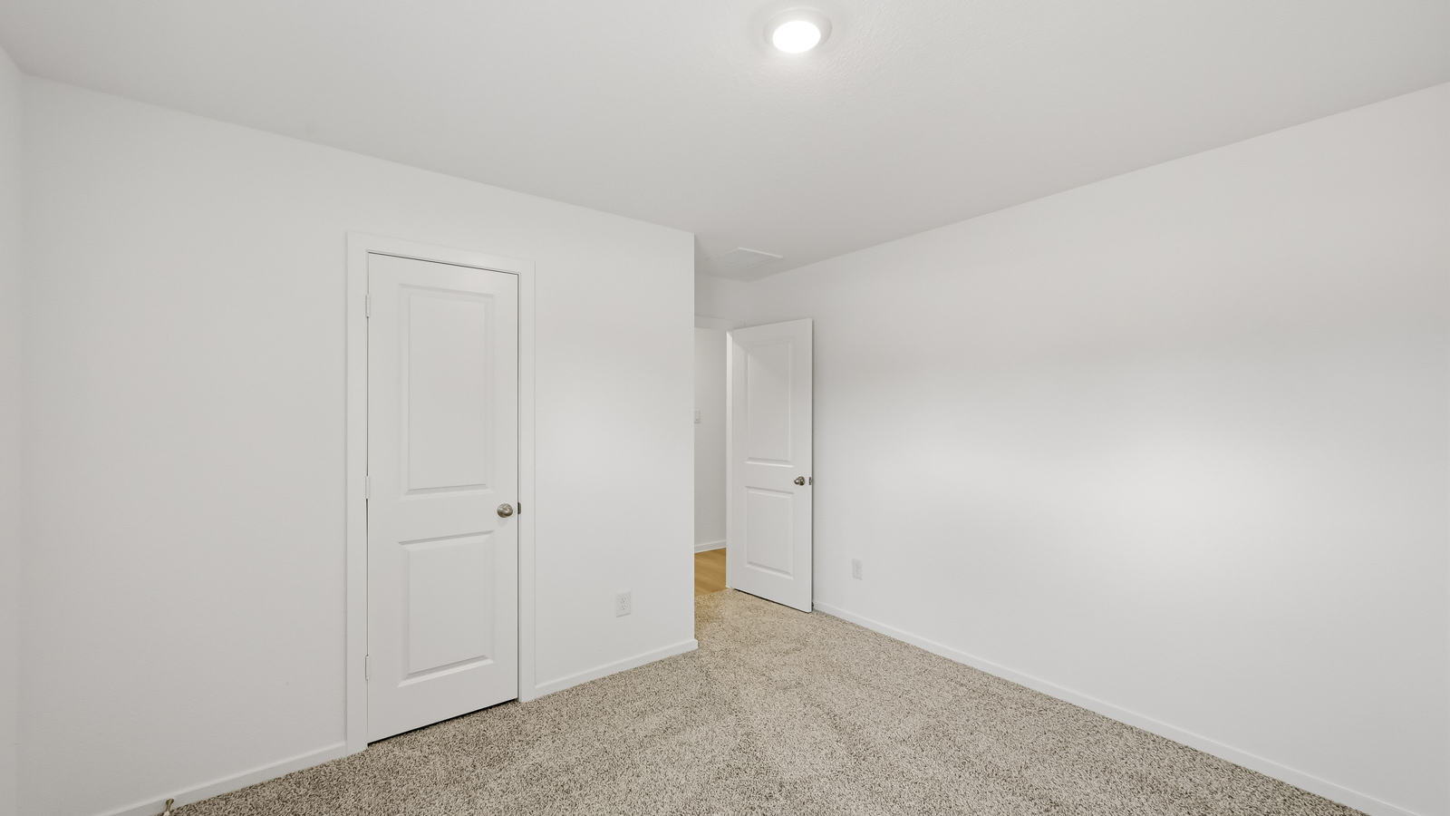 Large Primary bedroom with shag carpet flooring and bright window