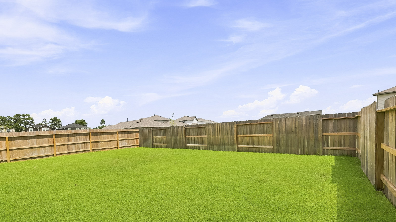 320 Tall Birch Drive