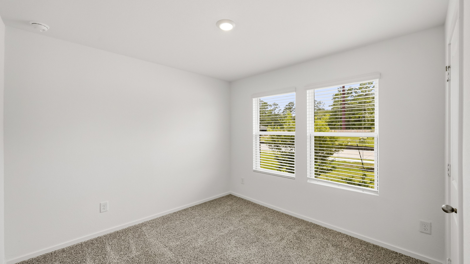 Secondary bedroom with shag carpet flooring and bright window