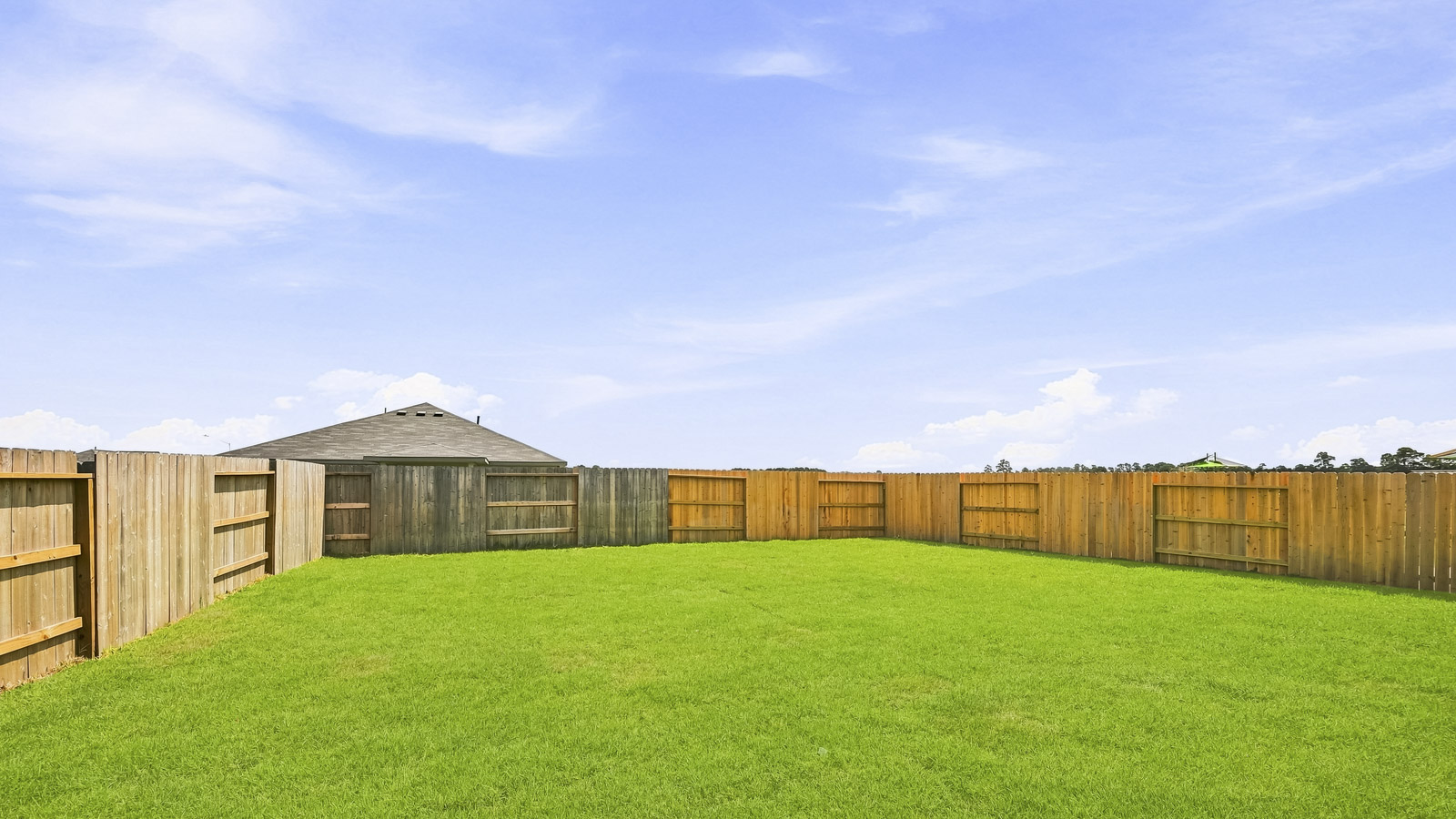 320 Tall Birch Drive