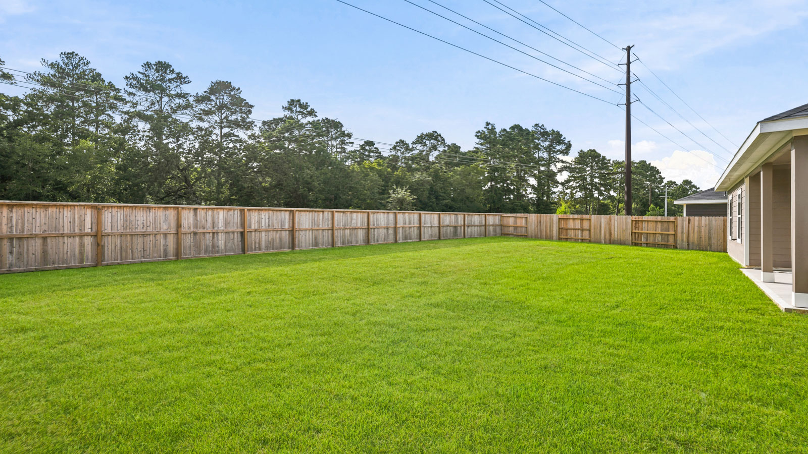 301 Tall Birch Drive
