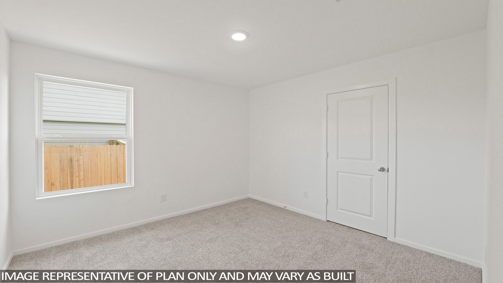 Secondary bedroom with shag carpet flooring and bright window