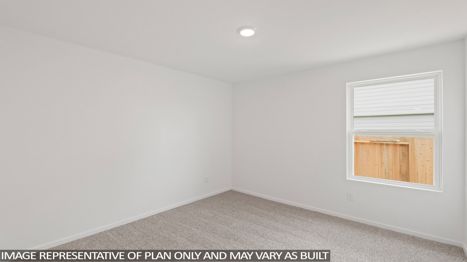 Secondary bedroom with shag carpet flooring and bright window