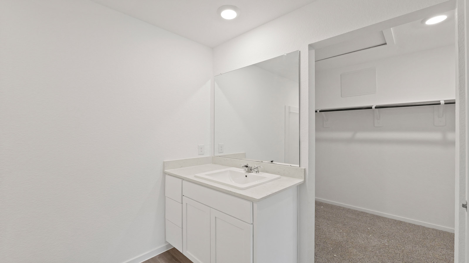 Primary walk-in closet with carpet flooring