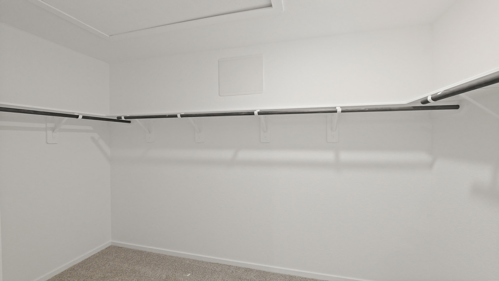 Primary walk-in closet with carpet flooring