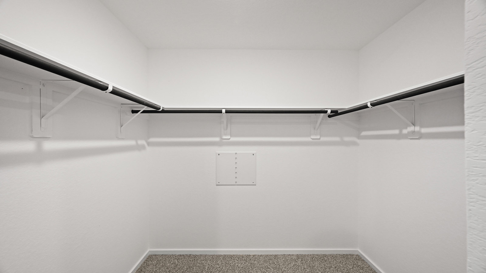 Primary walk-in closet with carpet flooring