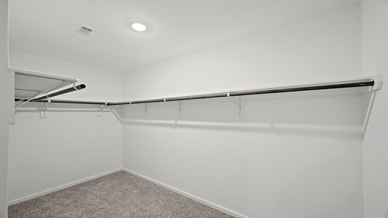 Primary walk-in closet with carpet flooring