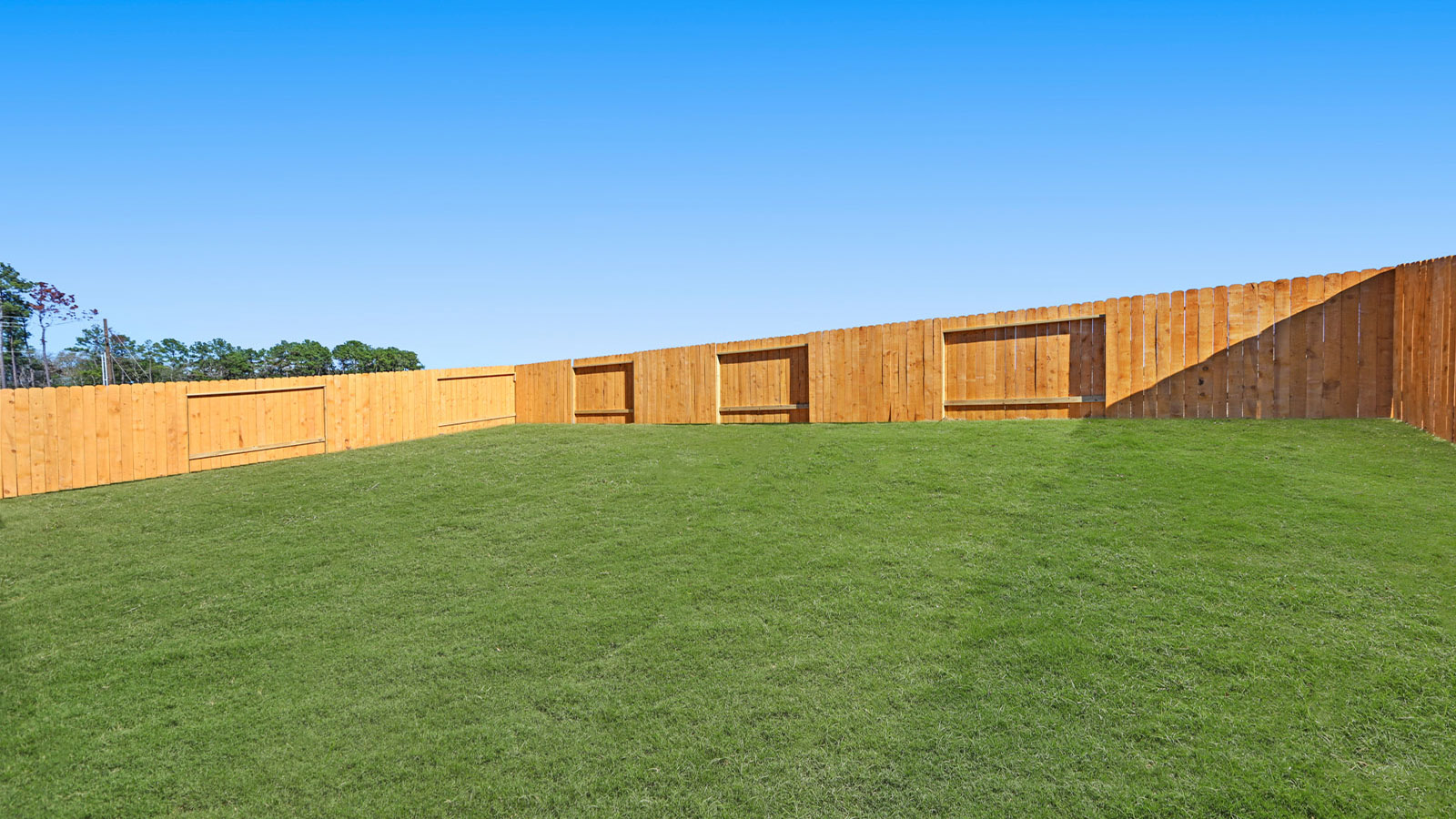 11846 Serena's Song Drive