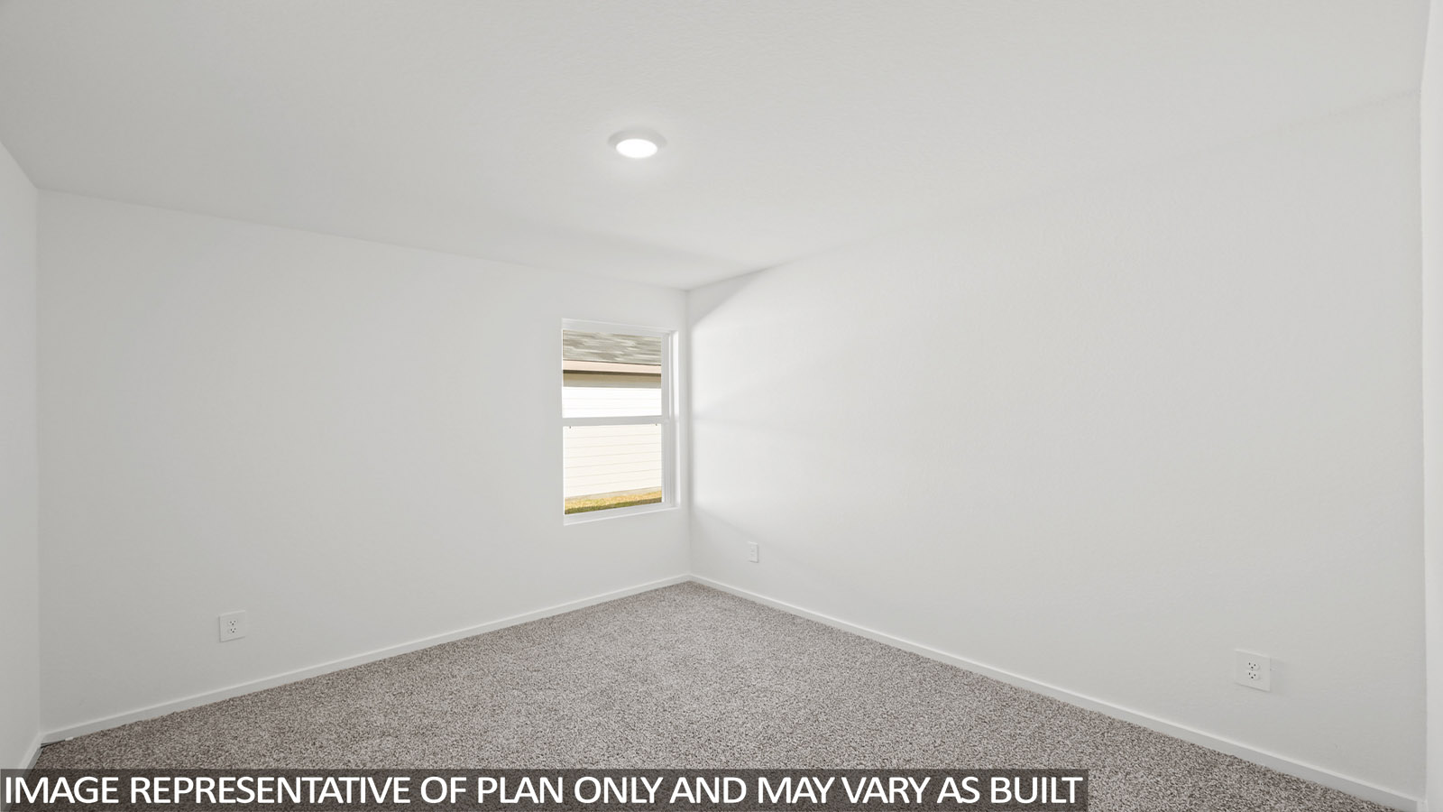 Secondary bedroom with shag carpet flooring and bright window