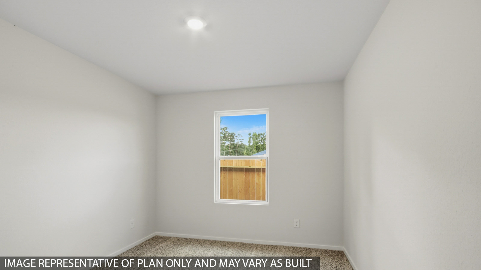 Secondary bedroom with shag carpet flooring and bright window