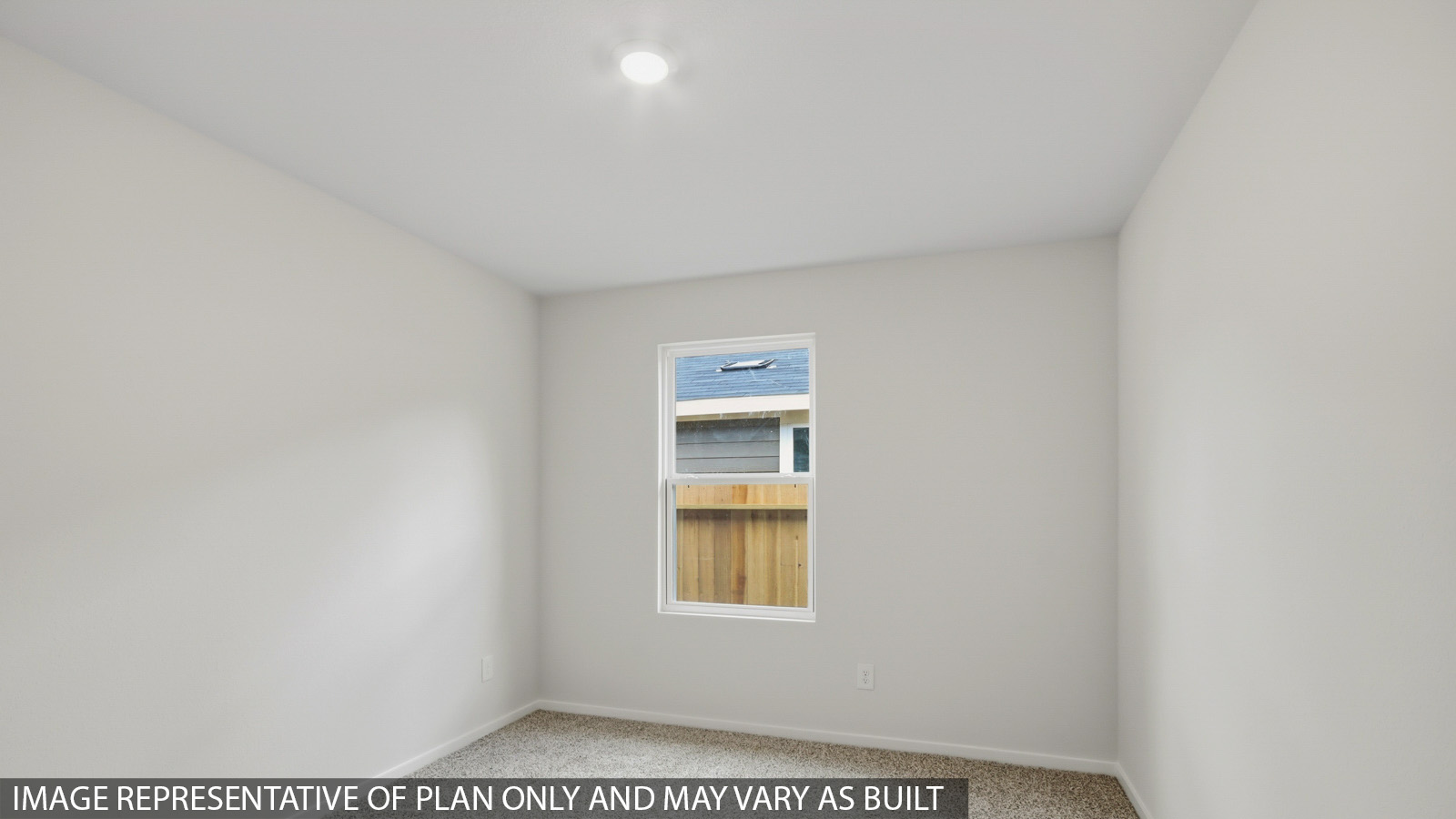 Secondary bedroom with shag carpet flooring and bright window