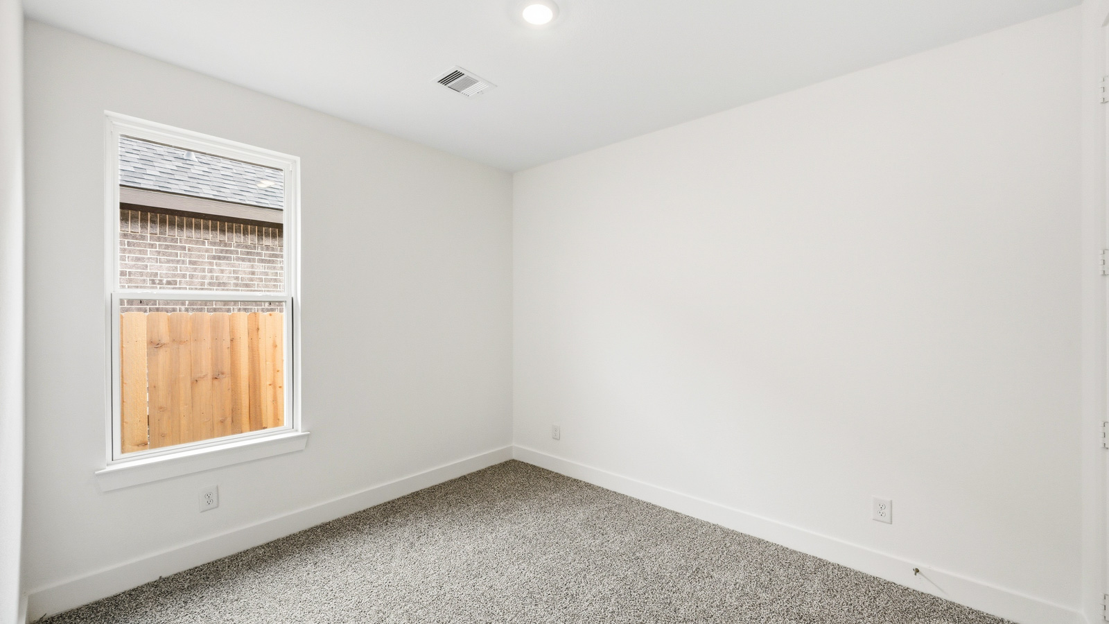 Secondary bedroom with shag carpet flooring and bright window