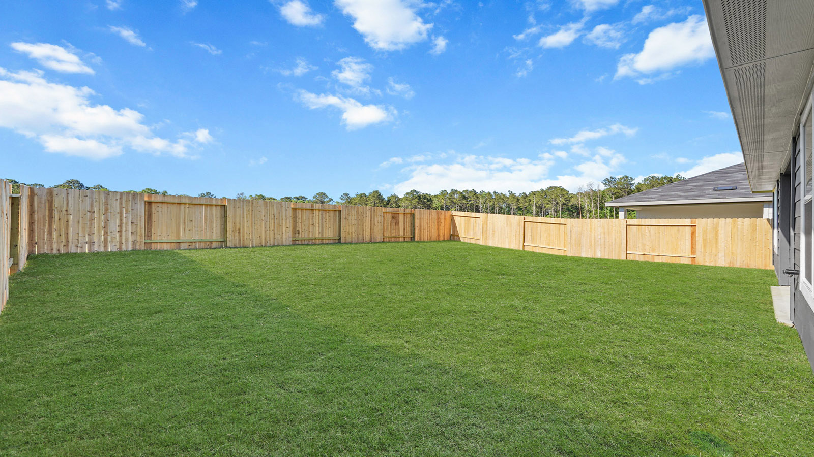 Fully Landscaped backyard