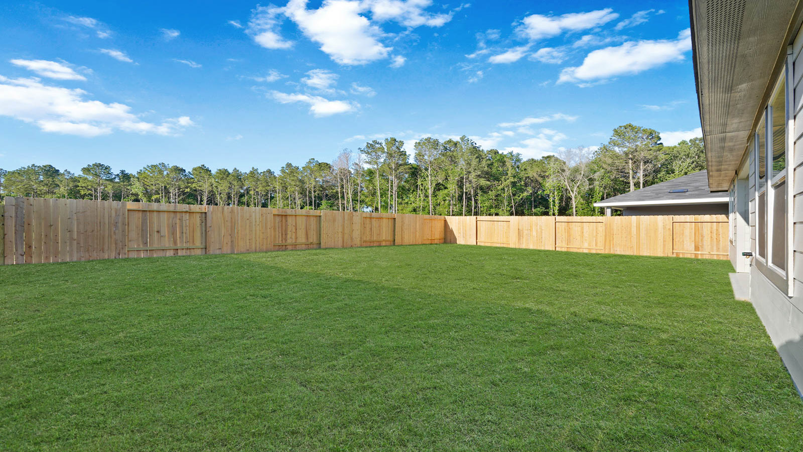 Fully Landscaped backyard