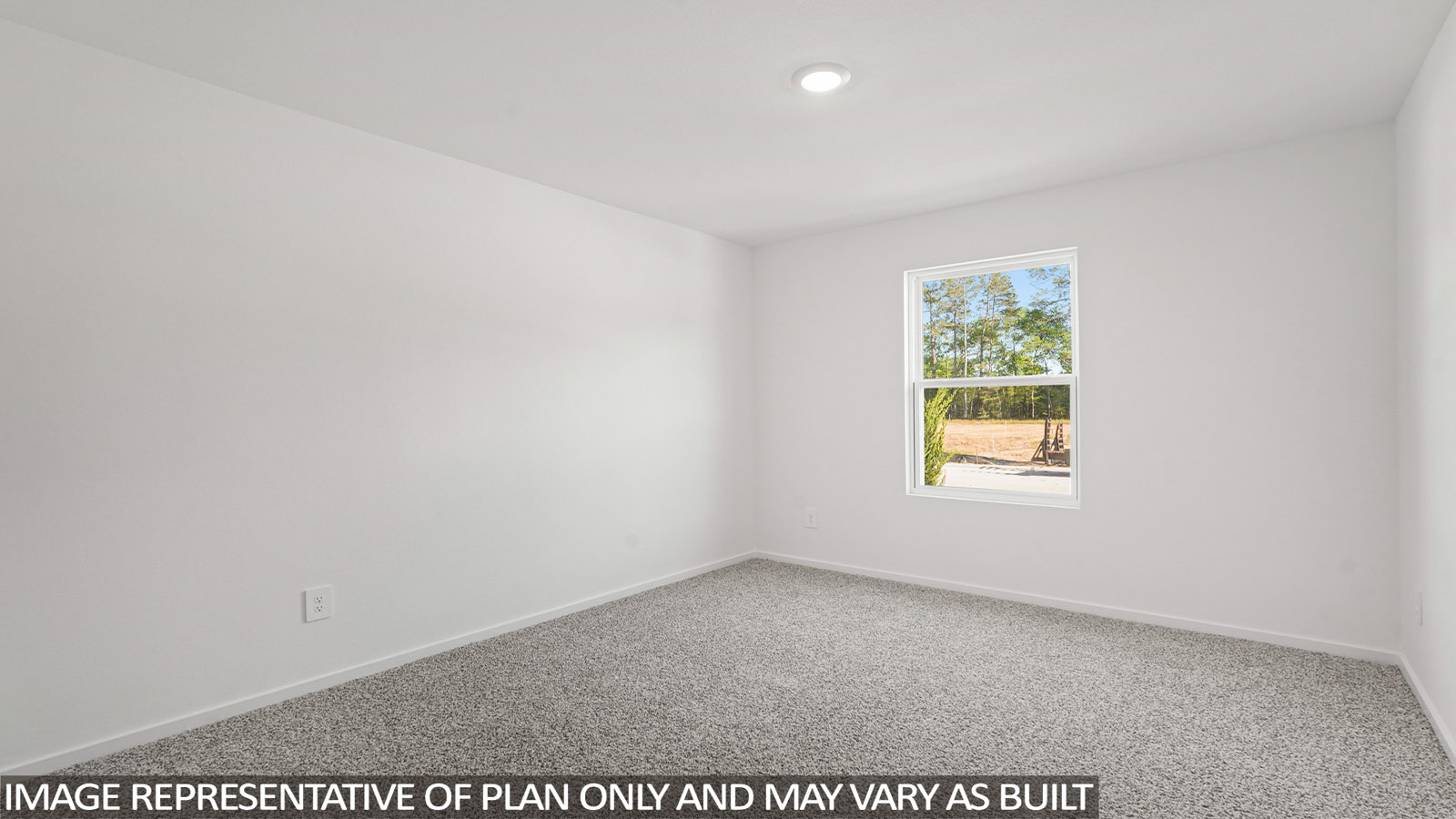 Secondary bedroom with shag carpet flooring and bright window