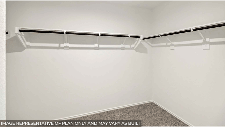 Primary walk-in closet with carpet flooring