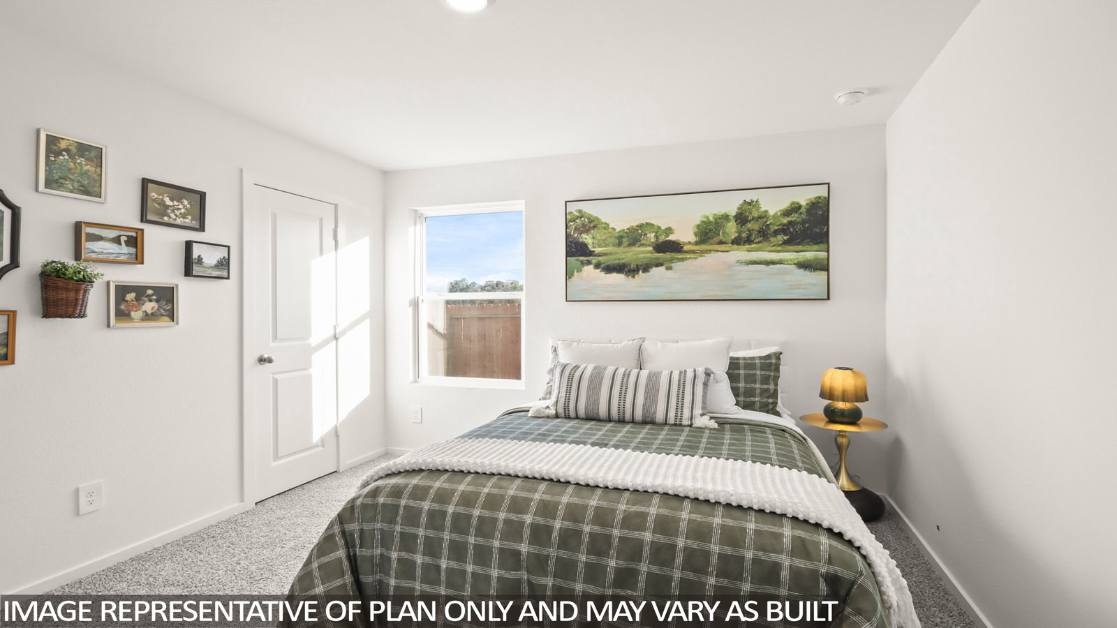 Secondary bedroom with shag carpet flooring and bright window