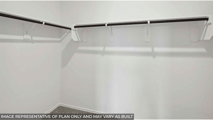 Primary walk-in closet with carpet flooring