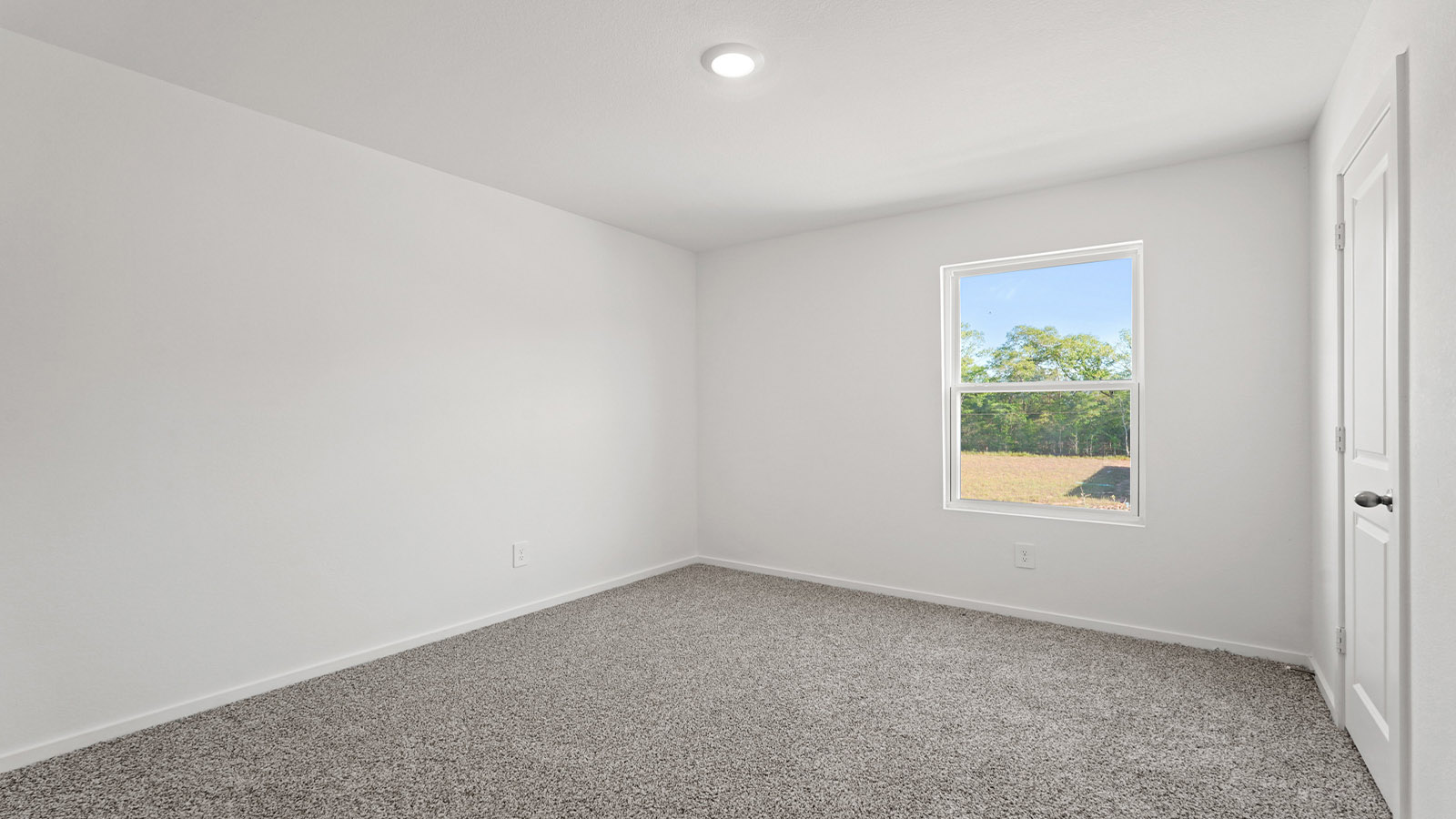Secondary bedroom with carpet flooring