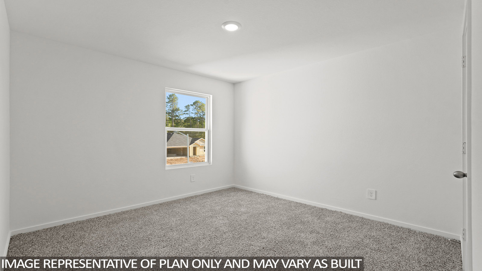 Secondary bedroom with shag carpet flooring and bright window