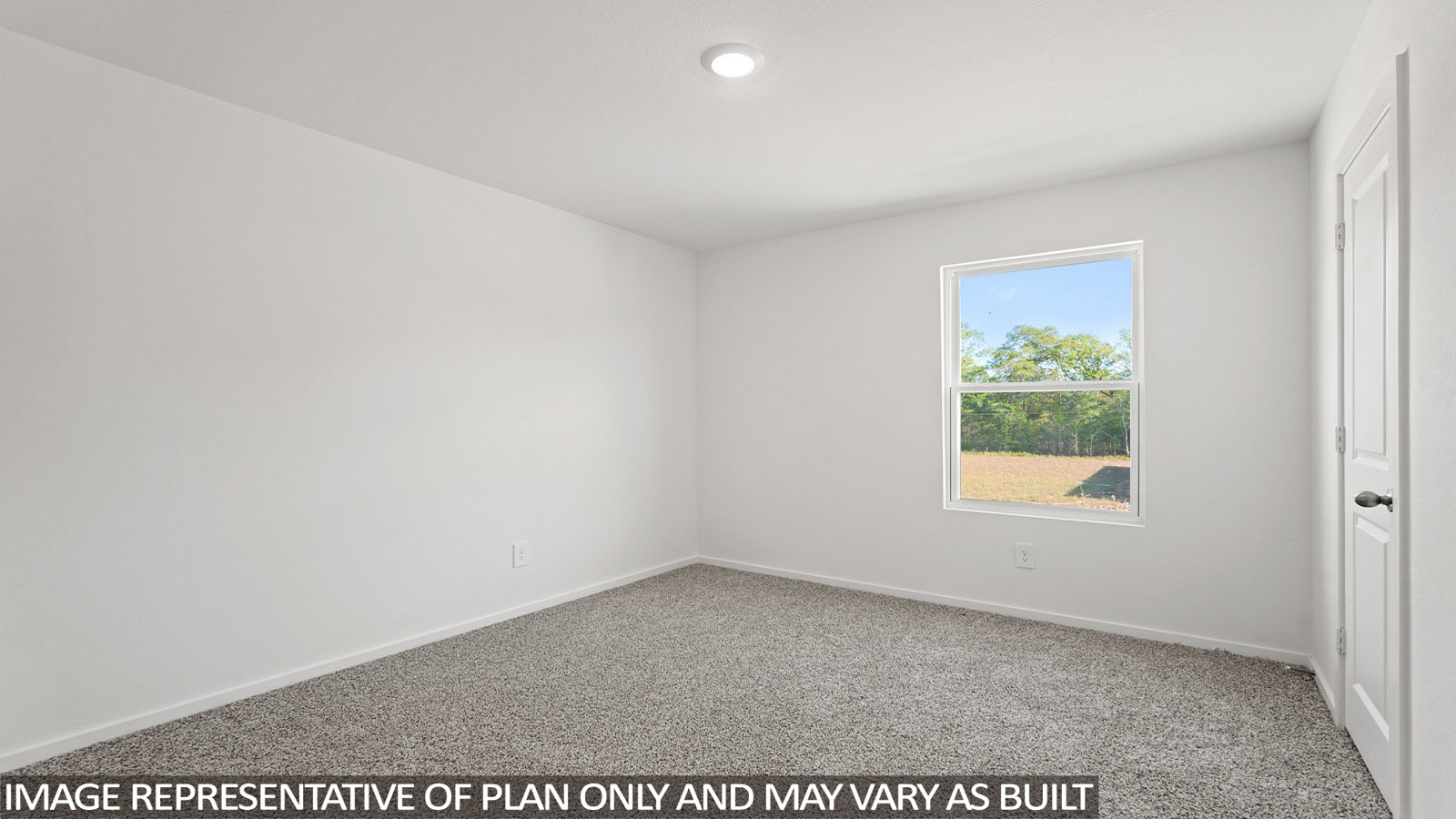 Secondary bedroom with shag carpet flooring and bright window
