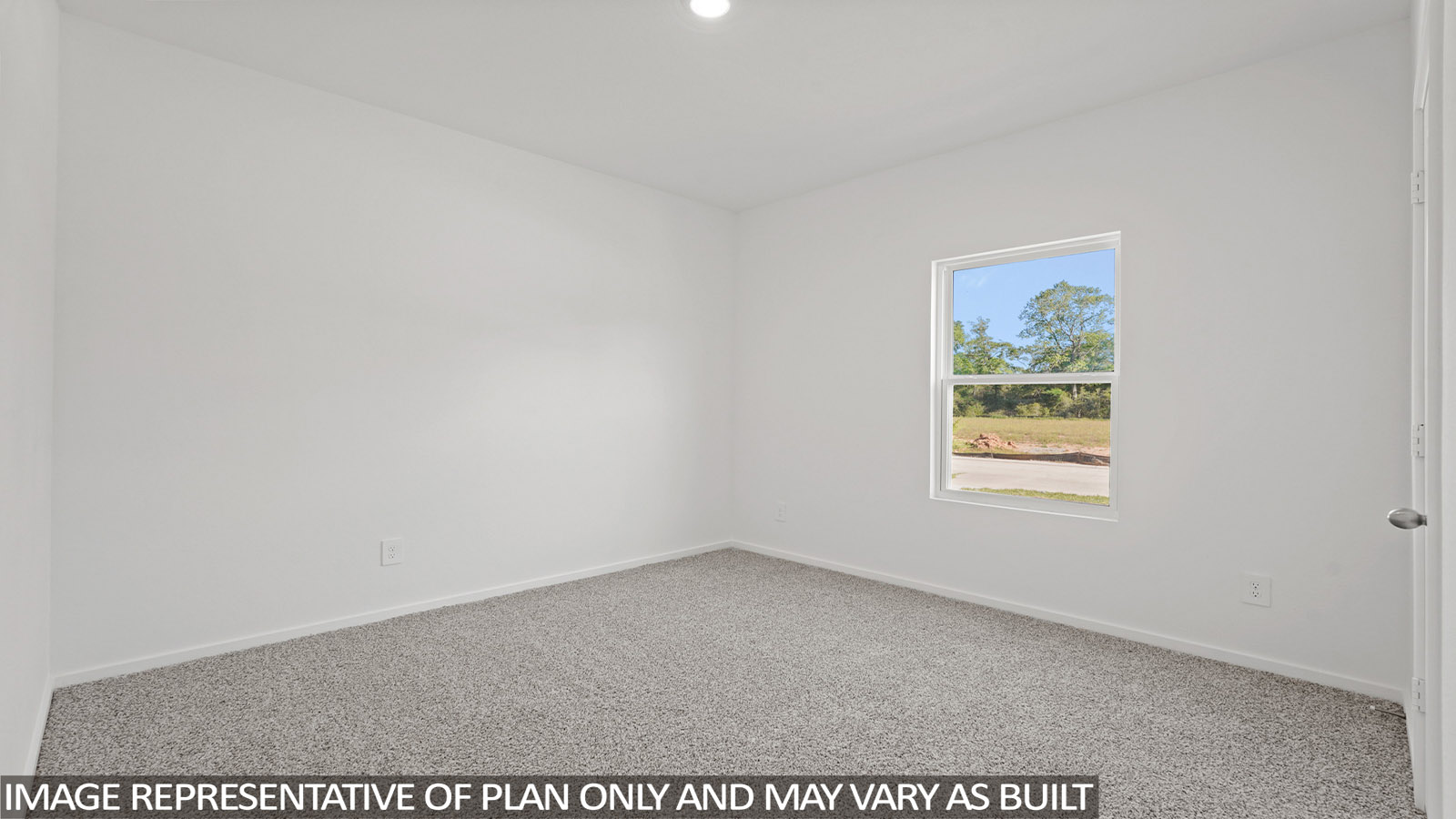 Secondary bedroom with shag carpet flooring and bright window