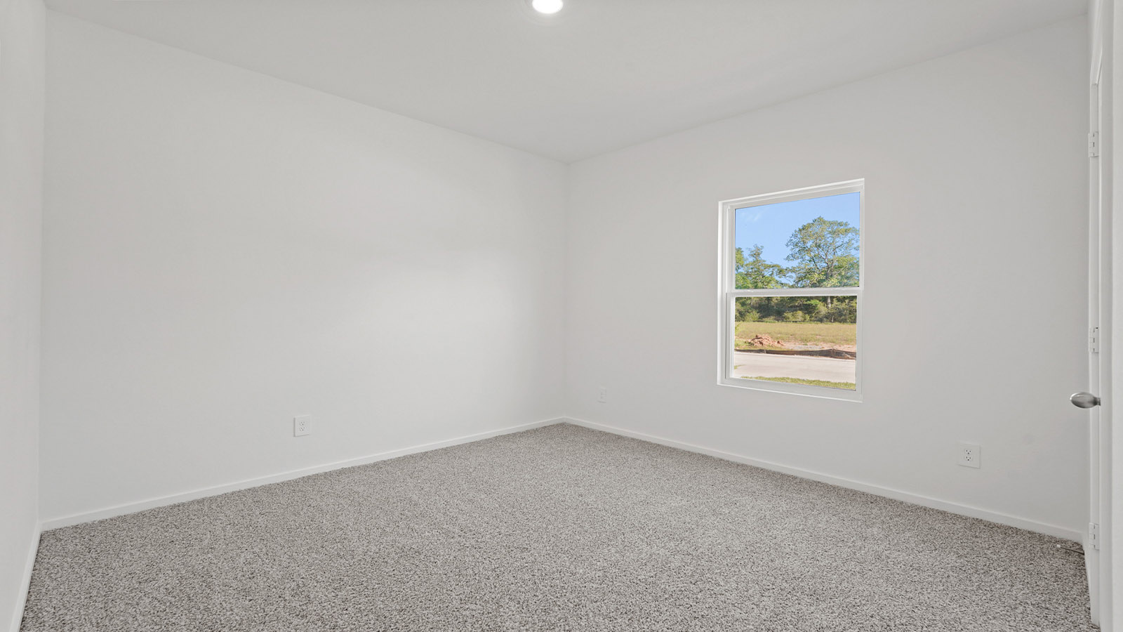 Secondary bedroom with carpet flooring