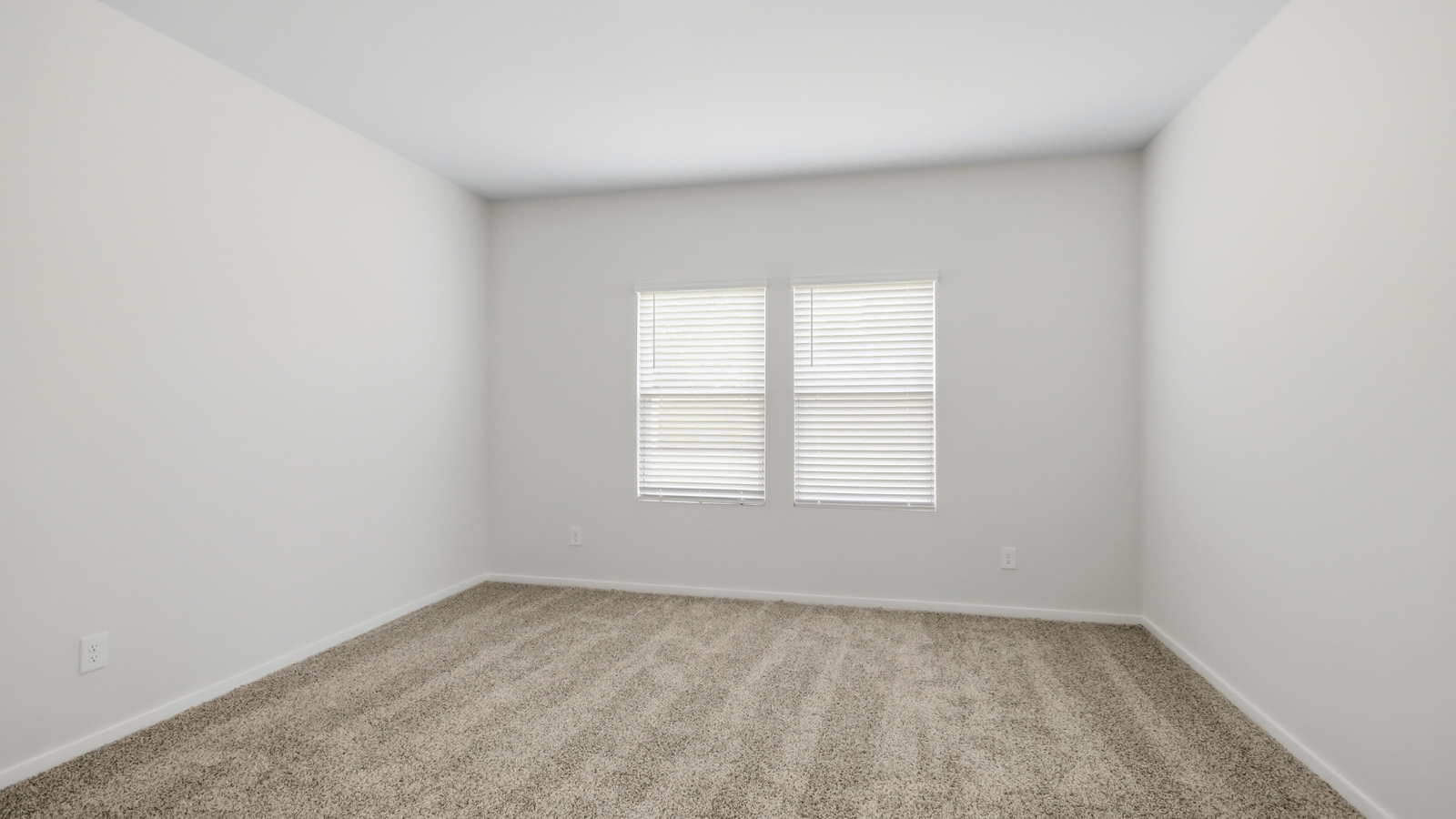 Large Primary bedroom with shag carpet flooring and bright window