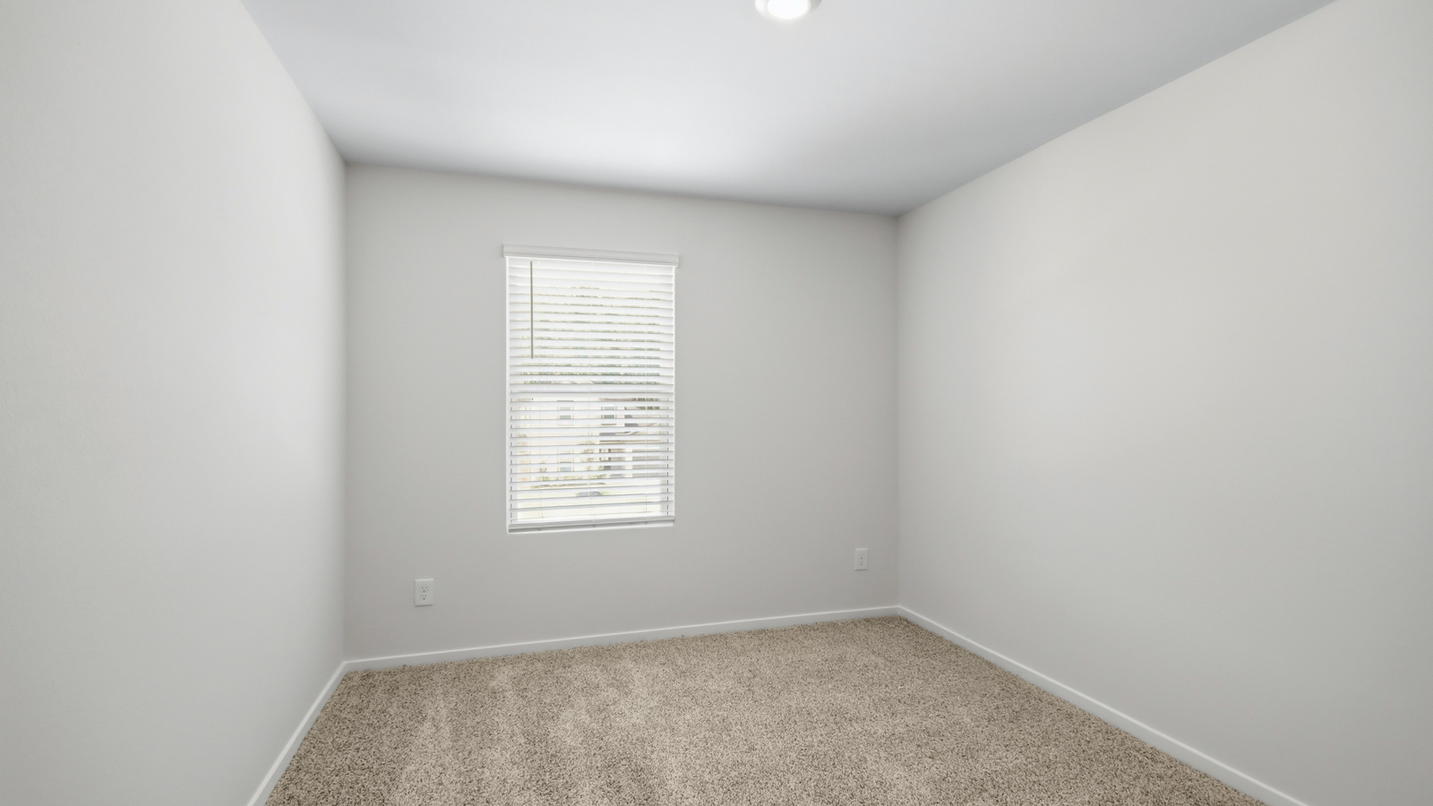 Secondary bedroom with shag carpet flooring and bright window