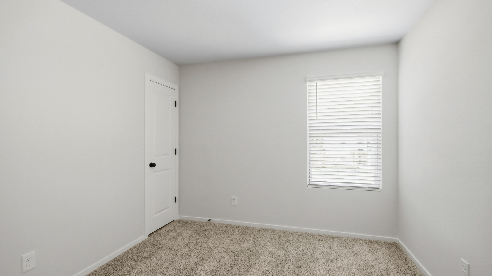 Secondary bedroom with shag carpet flooring and bright window