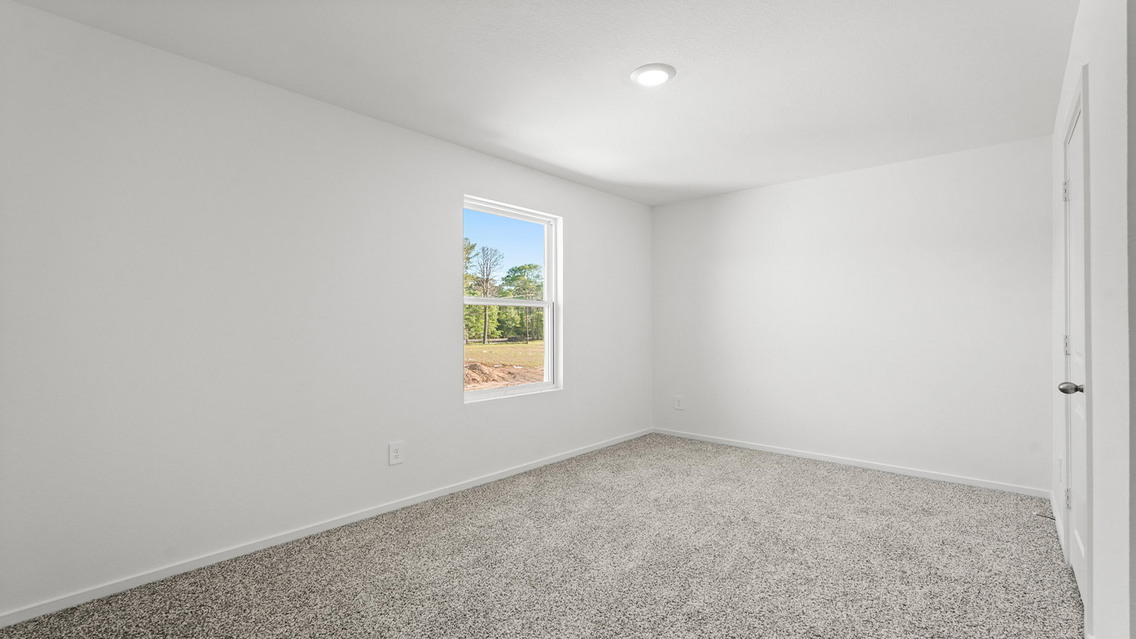 Secondary bedroom with carpet flooring