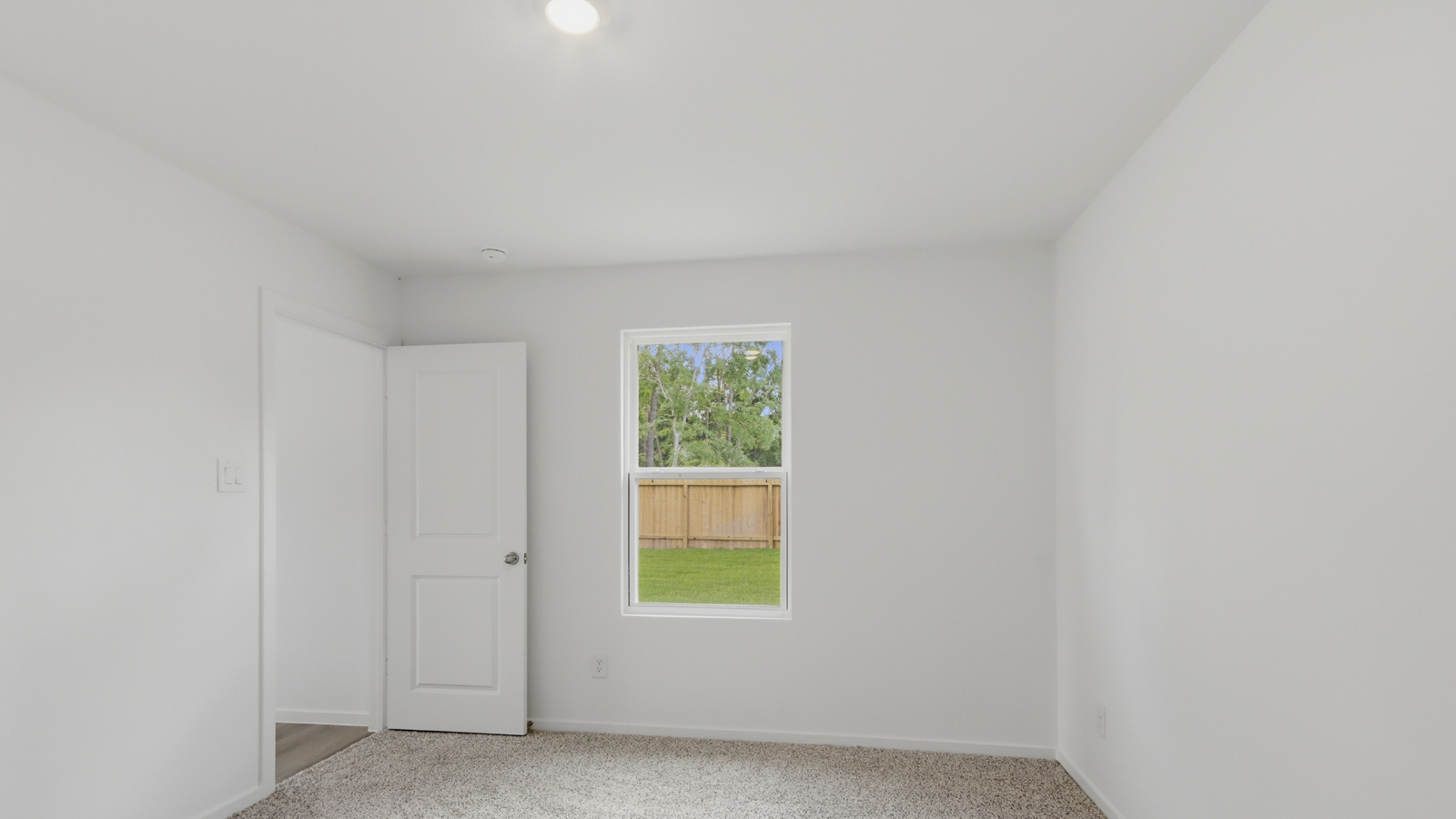 Large Primary bedroom with shag carpet flooring and bright window