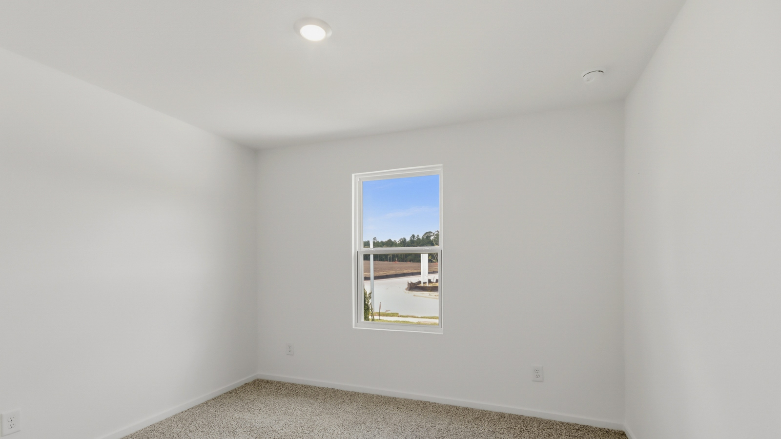 Secondary bedroom with shag carpet flooring and bright window
