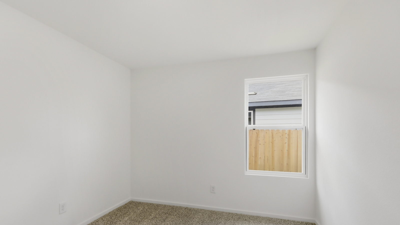 Secondary bedroom with shag carpet flooring and bright window