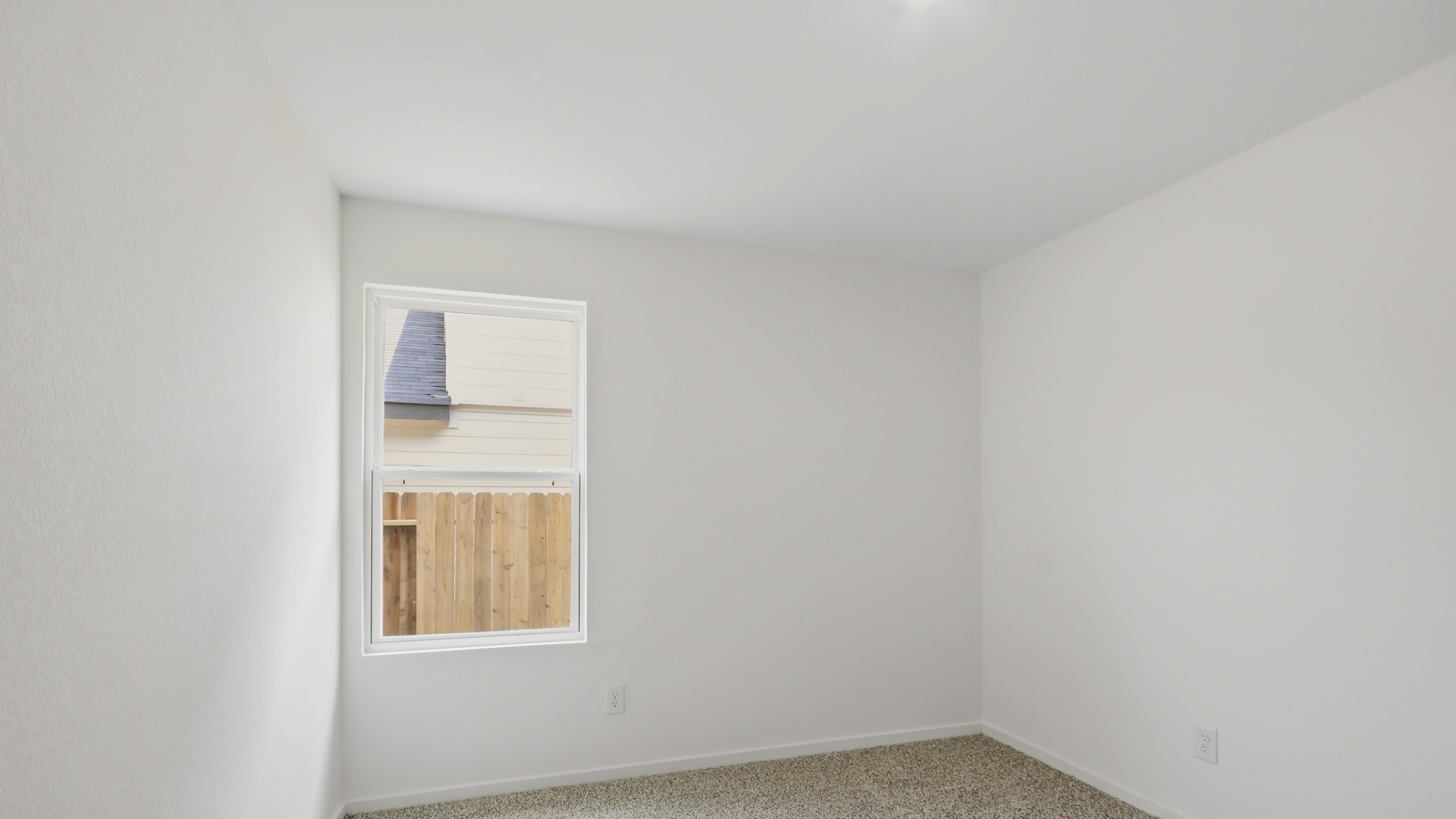 Secondary bedroom with shag carpet flooring and bright window