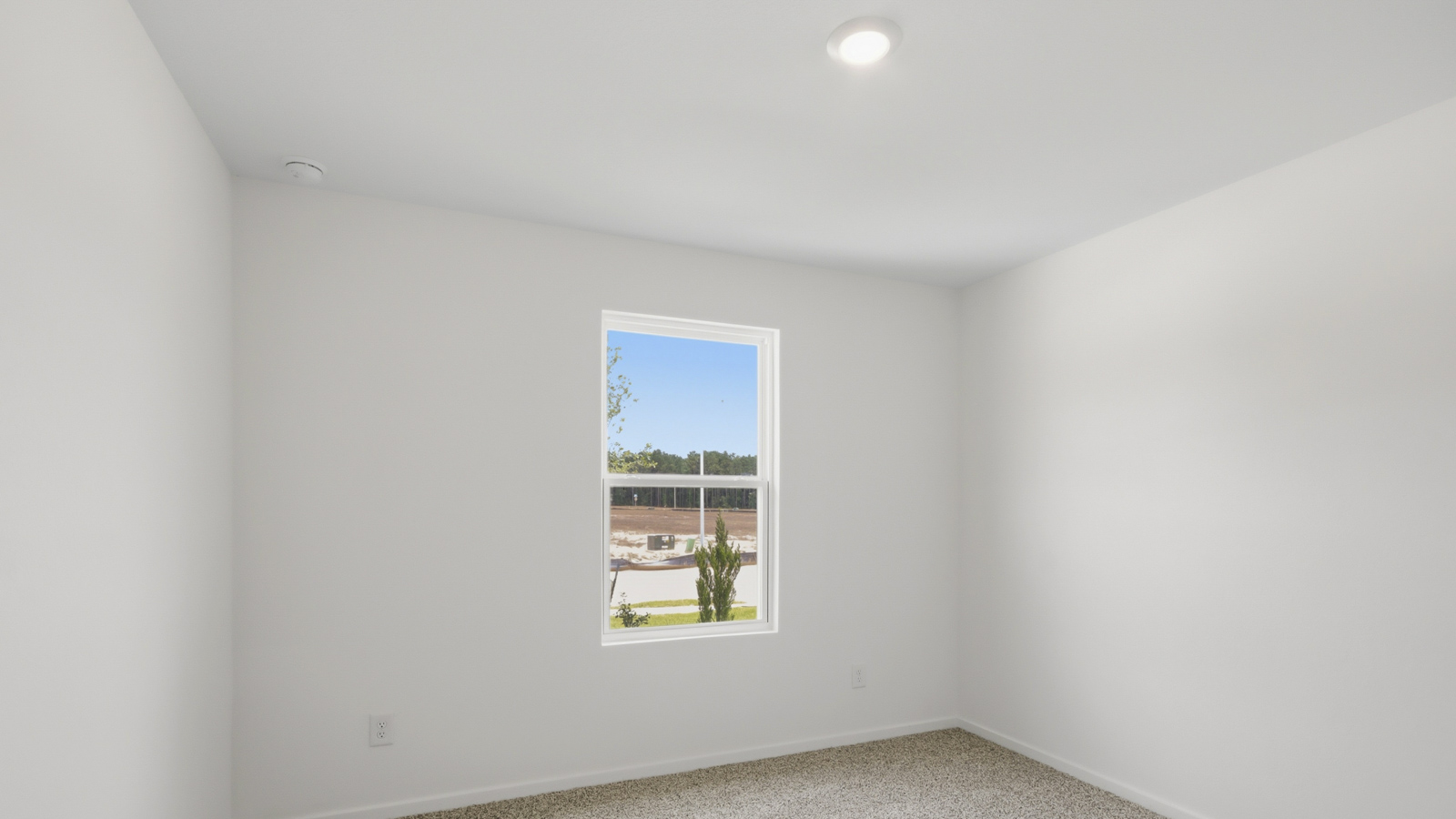 Secondary bedroom with shag carpet flooring and bright window