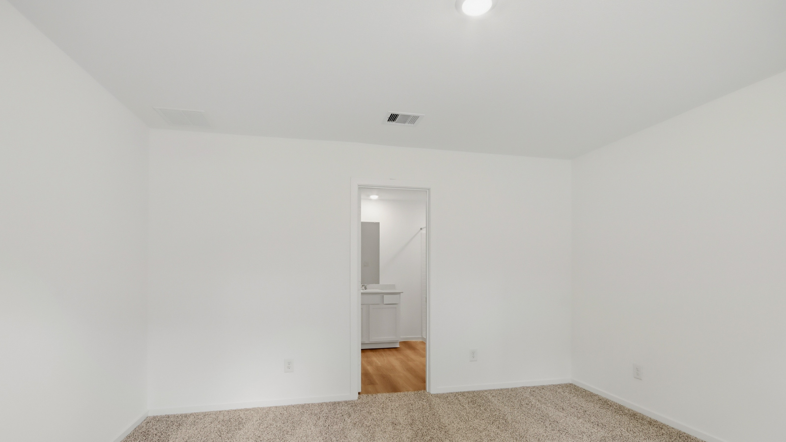 Large Primary bedroom with shag carpet flooring and bright window