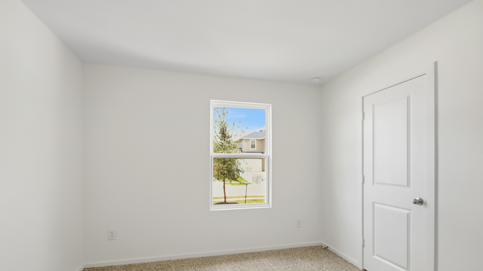Secondary bedroom with shag carpet flooring and bright window