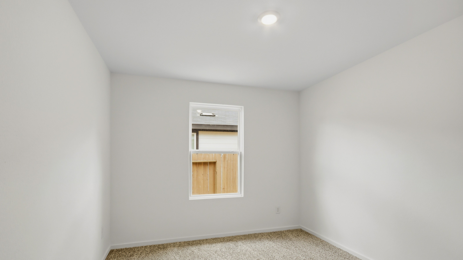 Secondary bedroom with shag carpet flooring and bright window