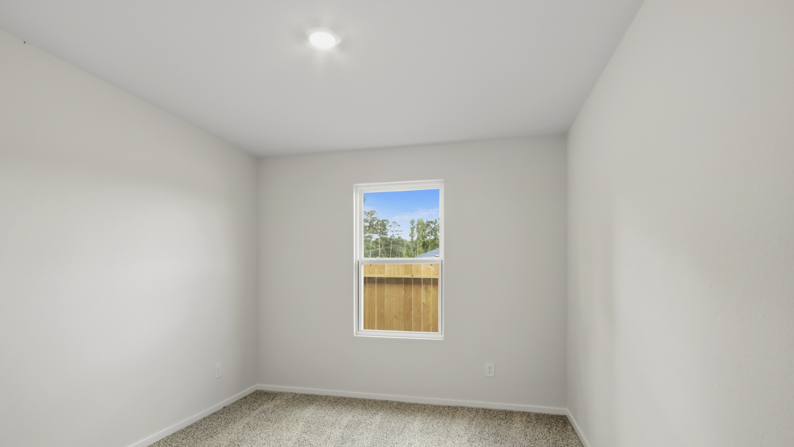 Secondary bedroom with shag carpet flooring and bright window