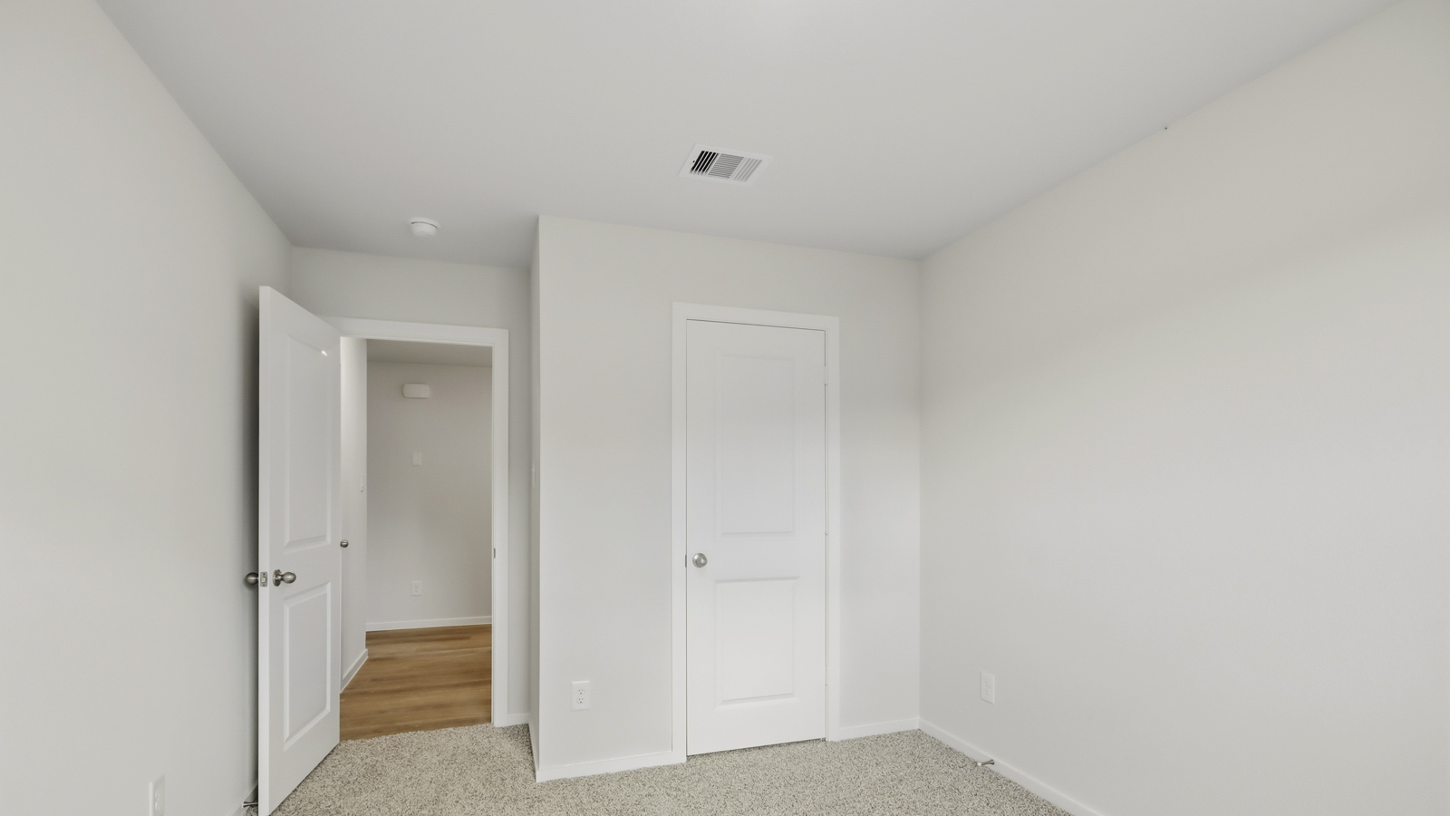 Secondary bedroom with shag carpet flooring and bright window