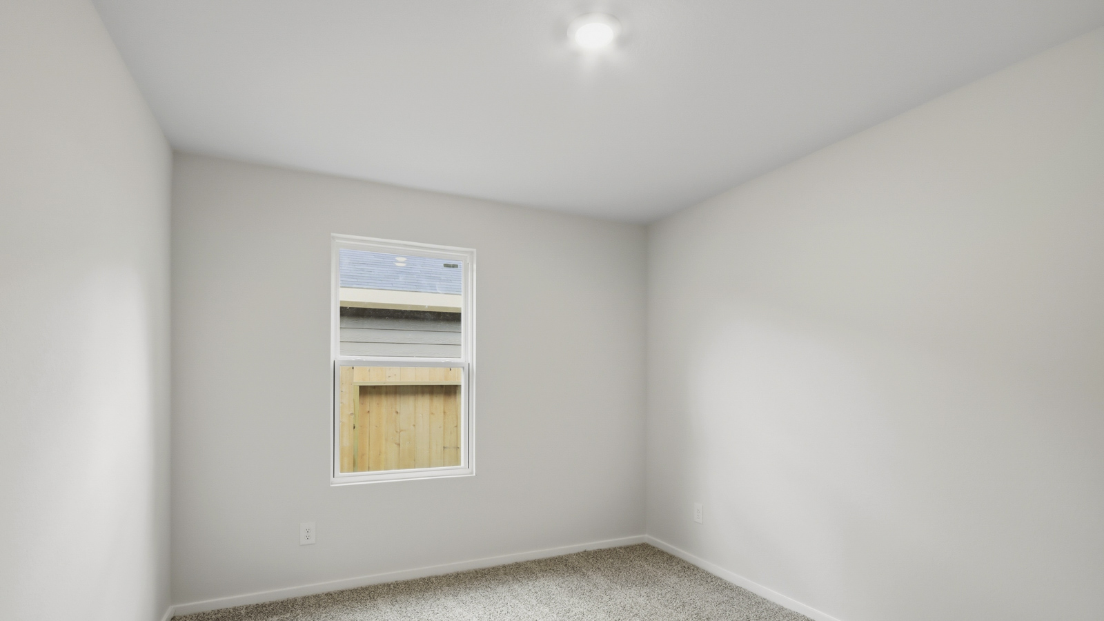 Secondary bedroom with shag carpet flooring and bright window