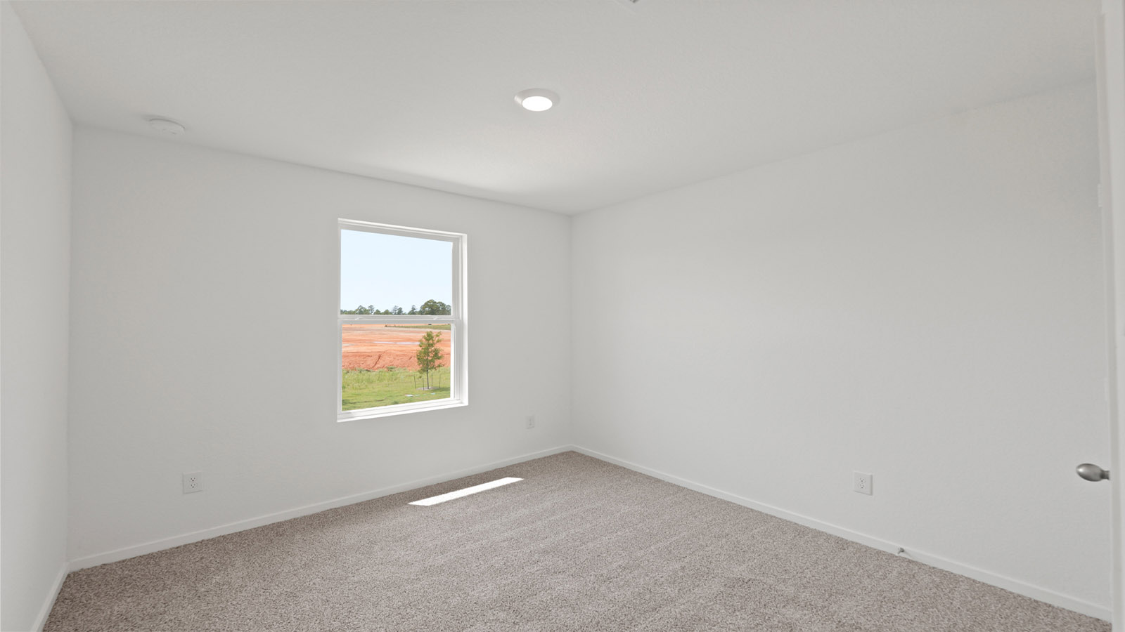 Secondary bedroom with shag carpet flooring and bright window