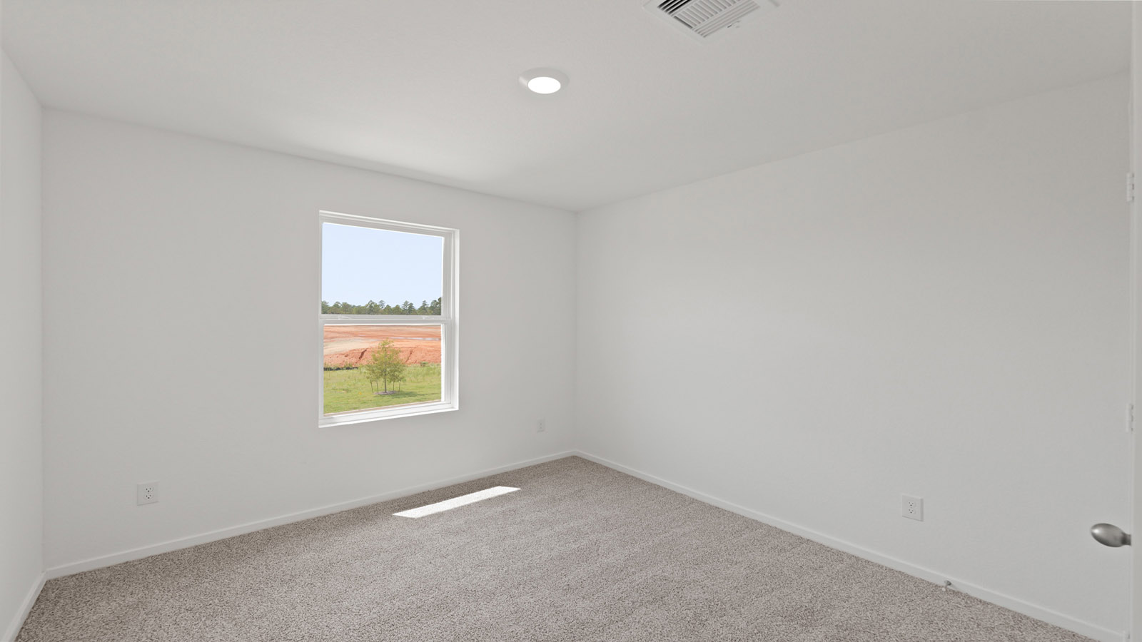 Secondary bedroom with shag carpet flooring and bright window